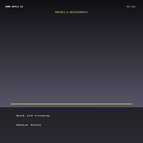 Buck 110 Folding Hunter Knife