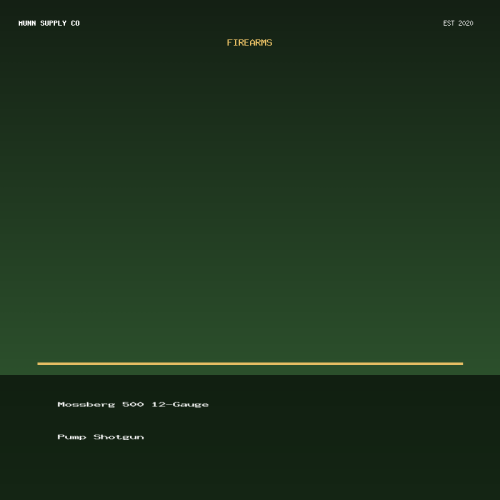 Mossberg 500 12-Gauge Pump Shotgun