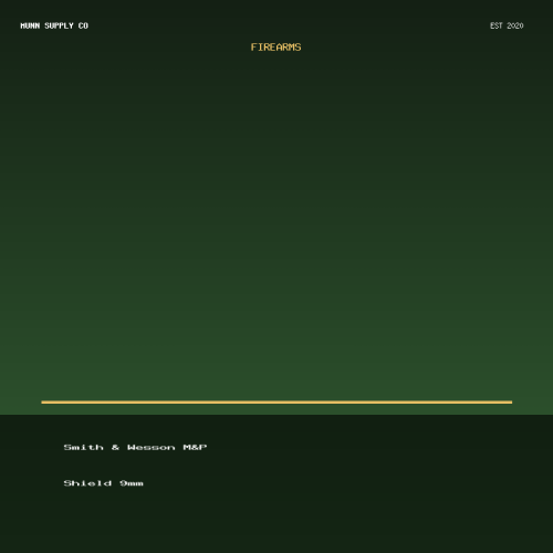 Smith & Wesson M&P Shield 9mm